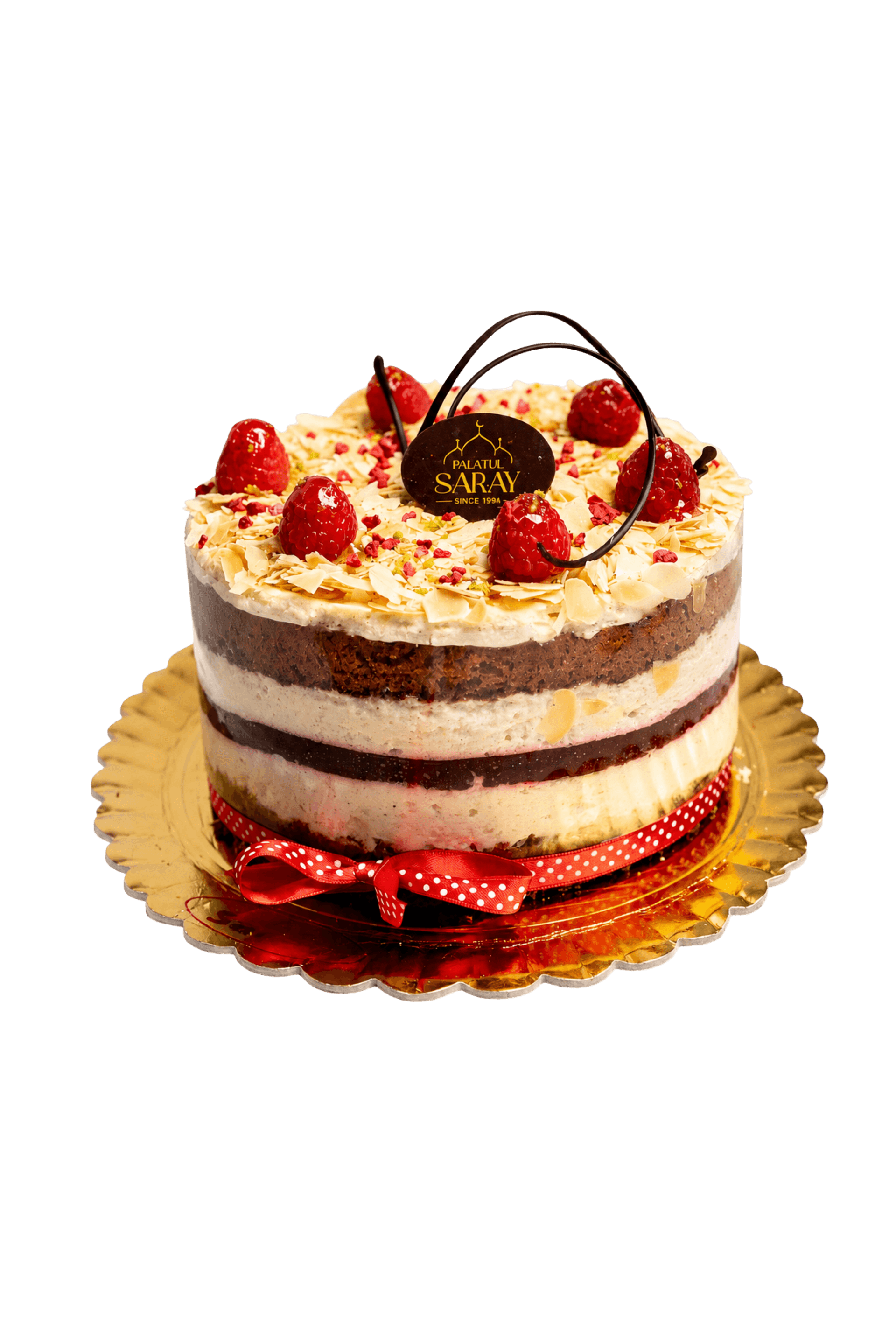 TORT MAYA - 1